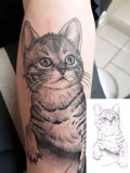 Tattoo Katze