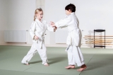 Aikido Kensho Ryu (Kindertraining)